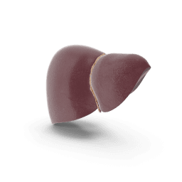 liver-department.png