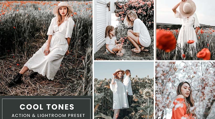 Холодные тона Цветокоррекция Lightroom LUT
