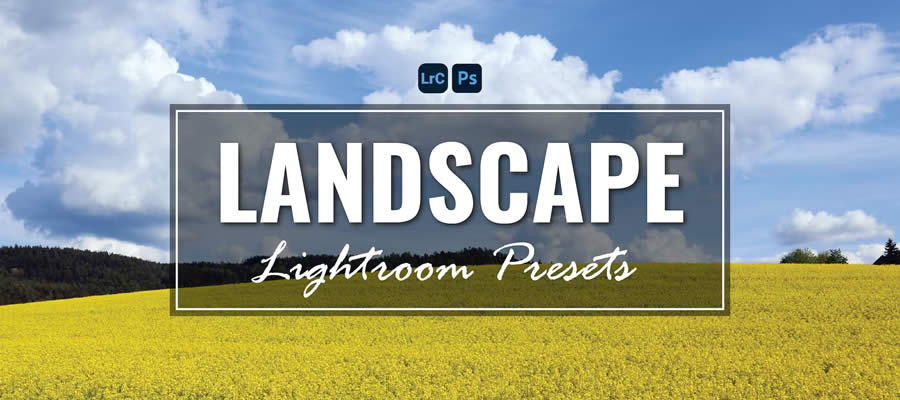 Пейзаж, бесплатная мобильная предустановка Lightroom dng xmp