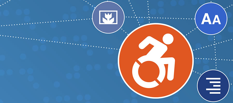 Плагин WordPress для WP Accessibility